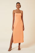 APRICOT